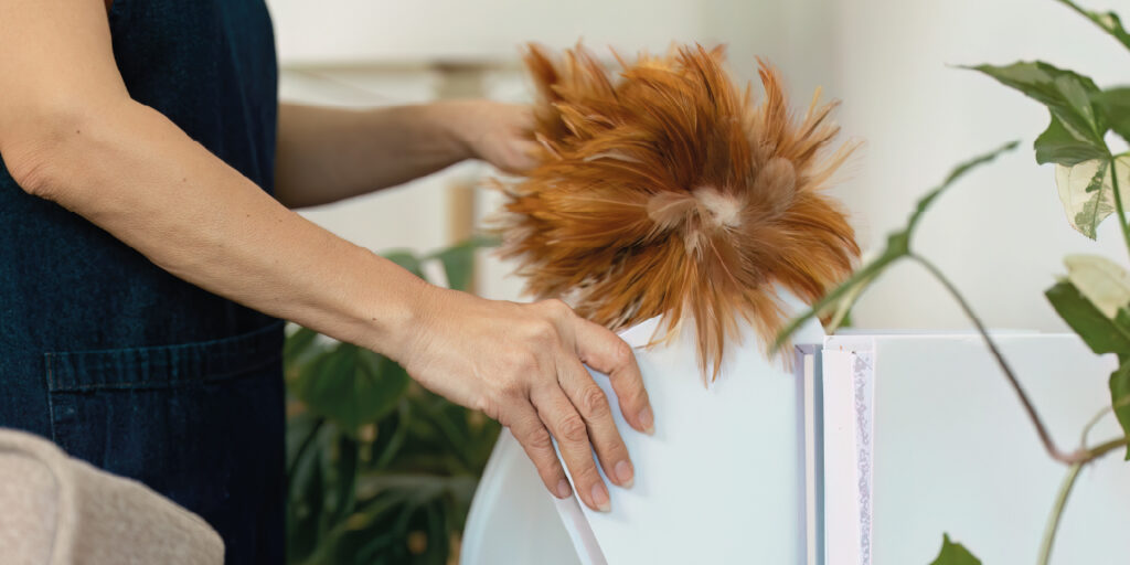 Limpar o pó remove os ácaros em casa